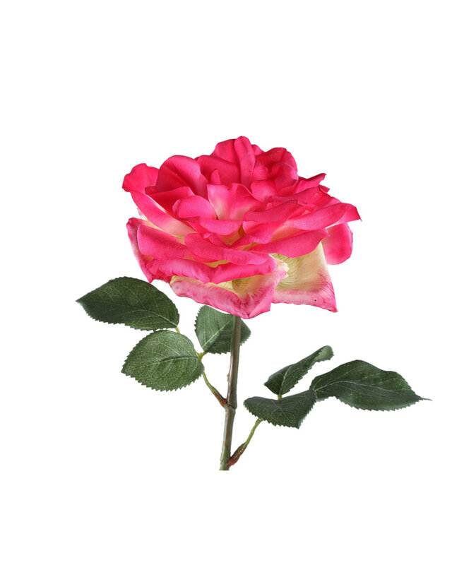 PTMD Rozenbloem helder roze rozenspray met bladeren.
