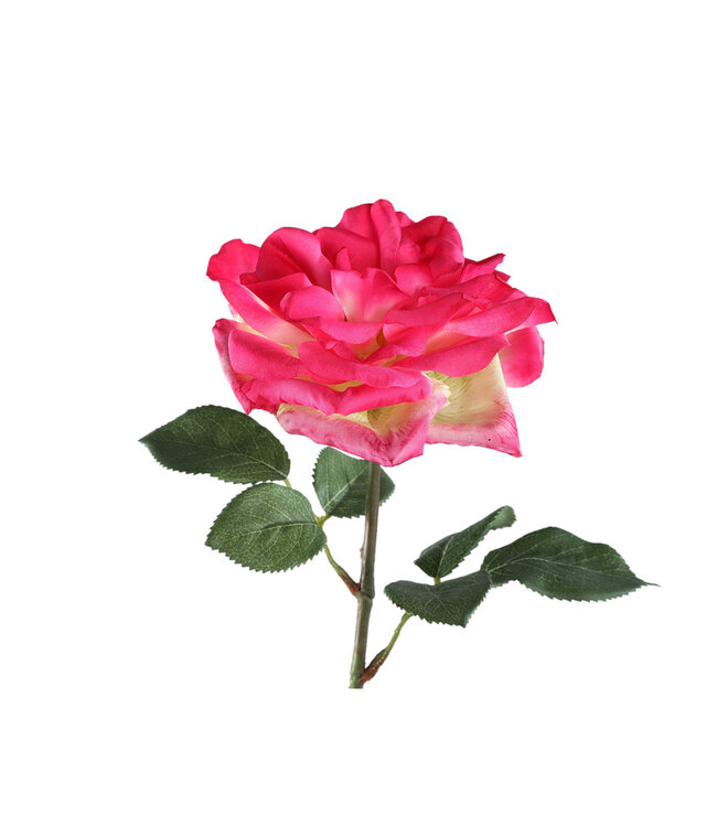 PTMD Rozenbloem helder roze rozenspray met bladeren.