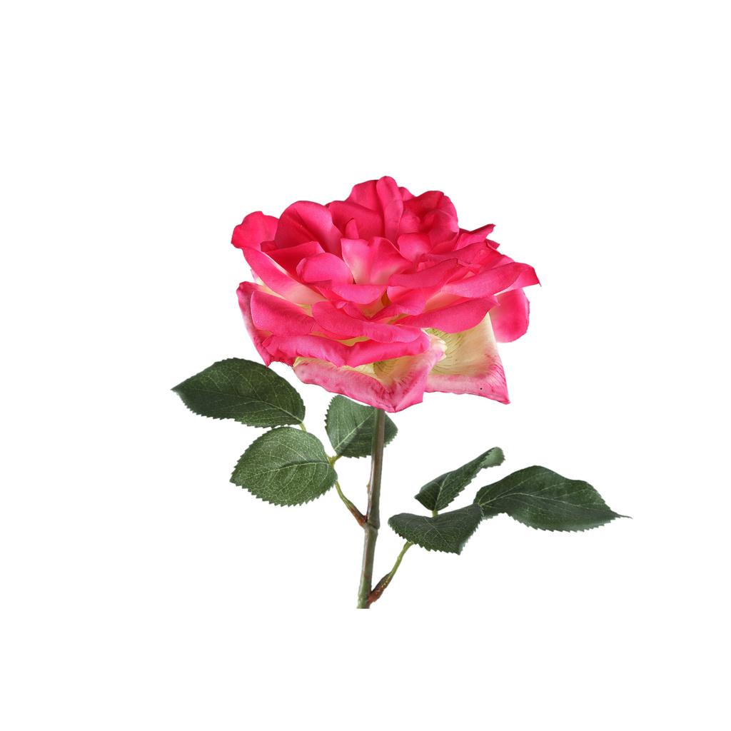 PTMD Rozenbloem helder roze rozenspray met bladeren.