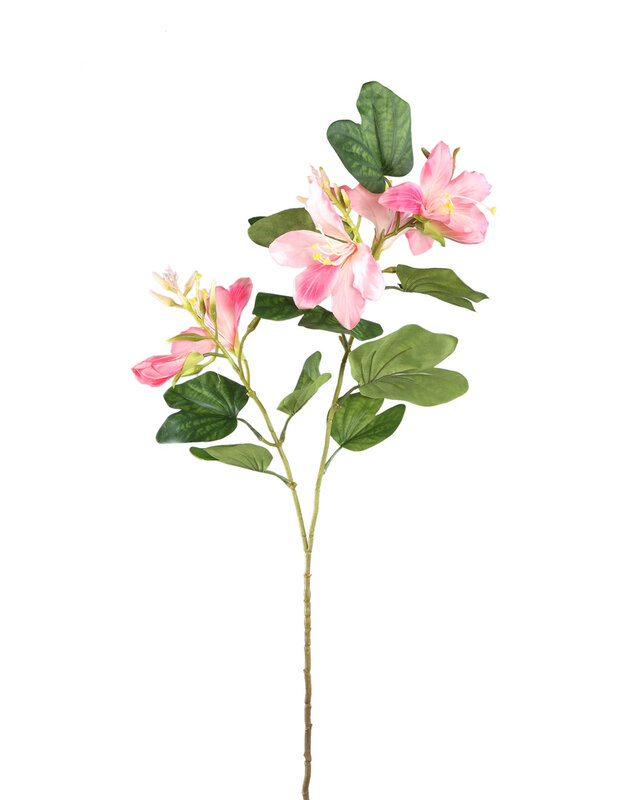 PTMD Tuinbloem roze bauhinia spray met bladeren