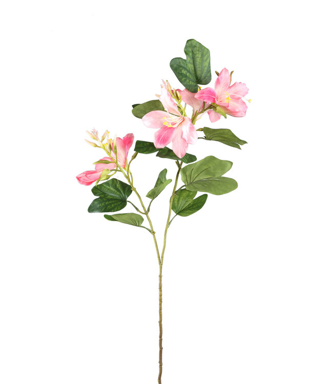PTMD Tuinbloem roze bauhinia spray met bladeren