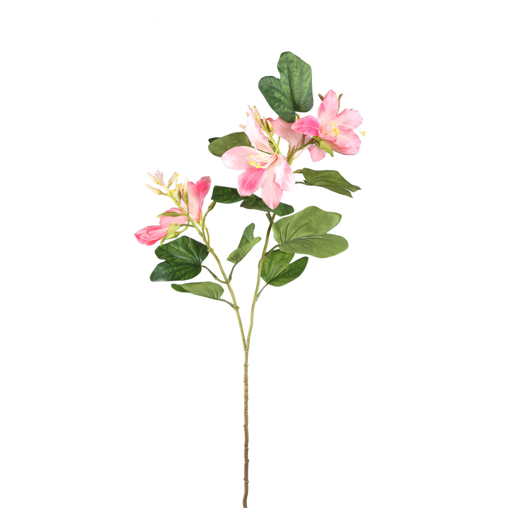 PTMD Tuinbloem roze bauhinia spray met bladeren