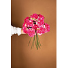 Rozenbloem helder roze rozenspray met bladeren.