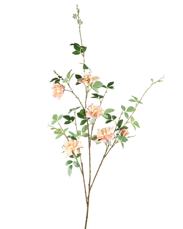 PTMD Wildrose bloem lichtroze met bladeren L