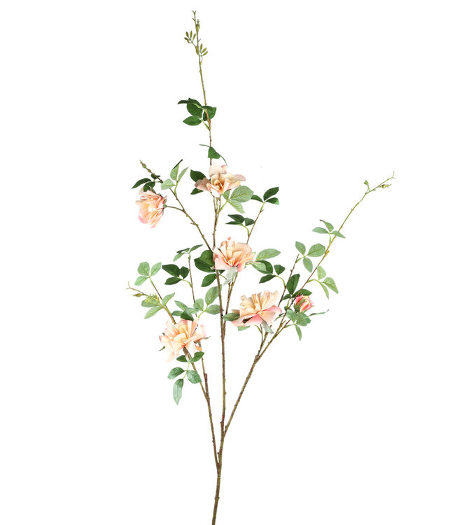 PTMD Wildrose bloem lichtroze met bladeren L