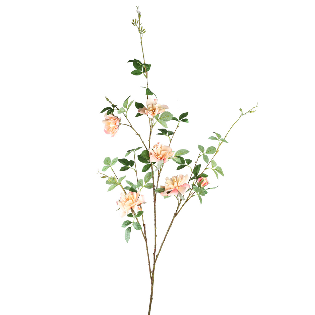 PTMD Wildrose bloem lichtroze met bladeren L