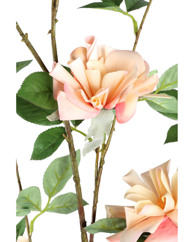 PTMD Wildrose bloem lichtroze met bladeren L