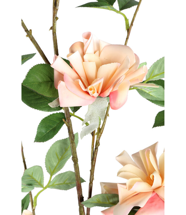 PTMD Wildrose bloem lichtroze met bladeren L