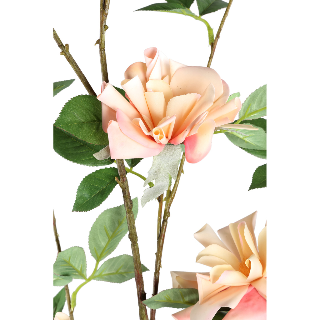PTMD Wildrose bloem lichtroze met bladeren L