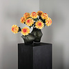 Tuinbloem gele chrysant 10 x 15 x 68 cm