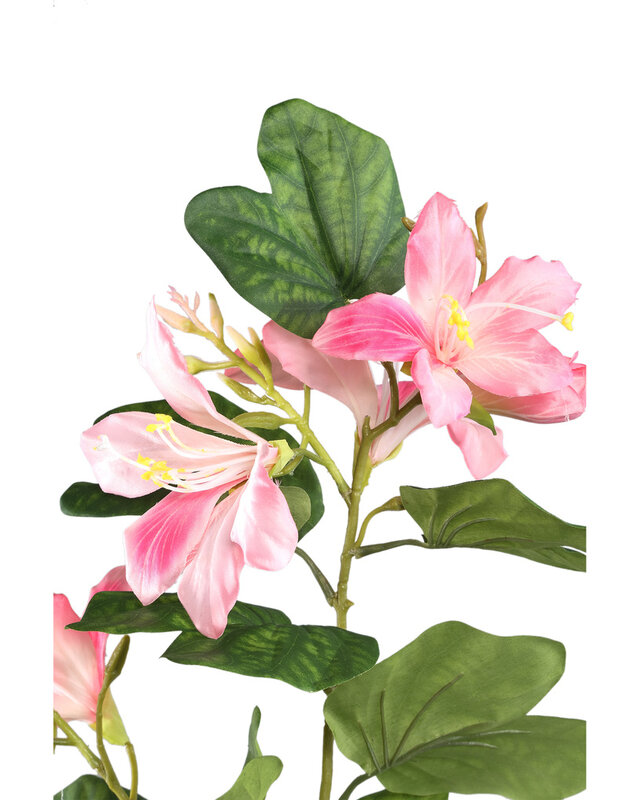 PTMD Tuinbloem roze bauhinia spray met bladeren