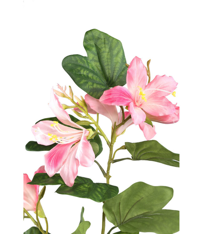PTMD Tuinbloem roze bauhinia spray met bladeren