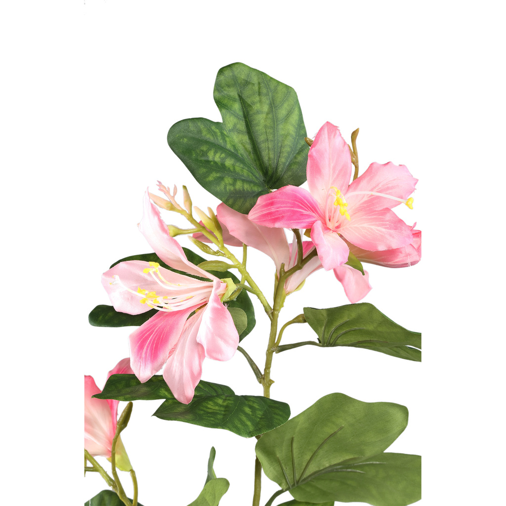 PTMD Tuinbloem roze bauhinia spray met bladeren