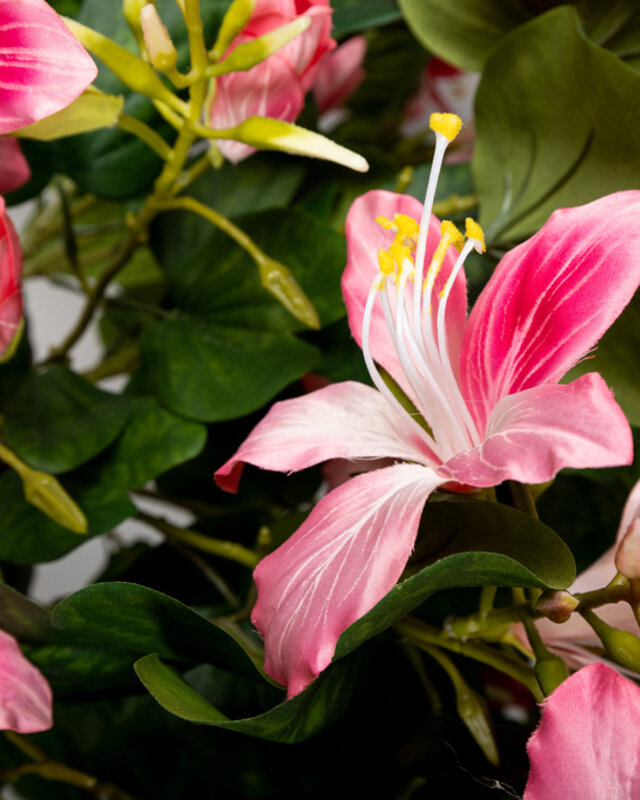 PTMD Tuinbloem roze bauhinia spray met bladeren