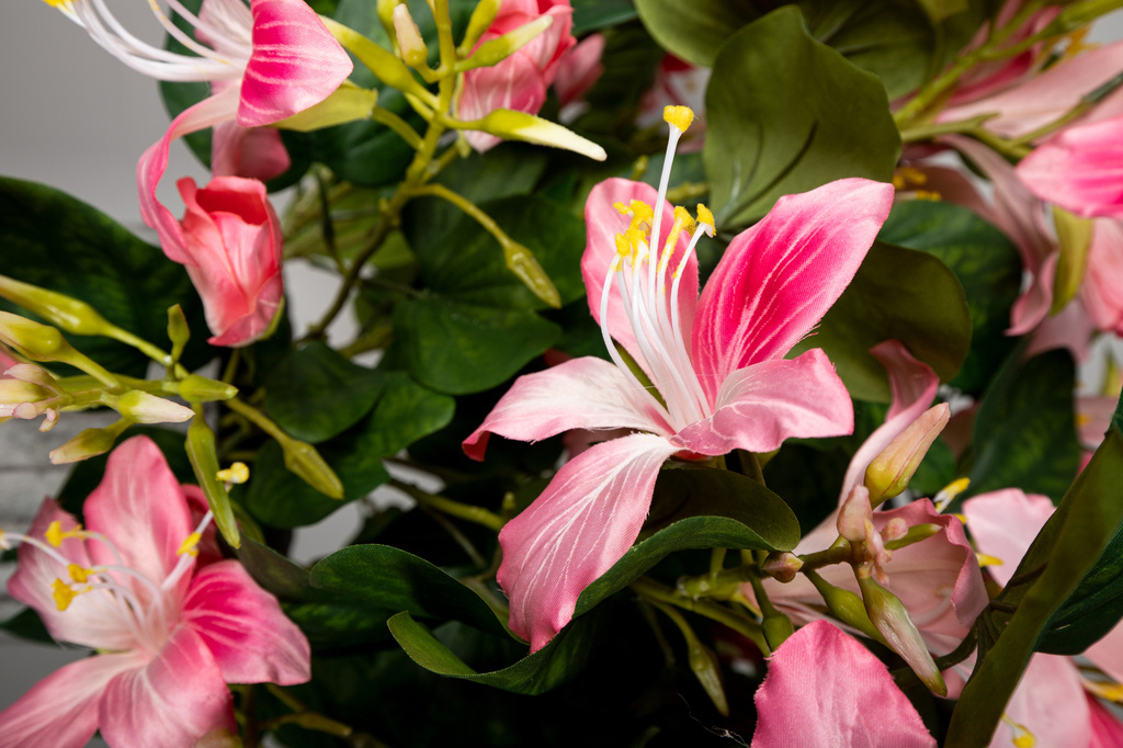 PTMD Tuinbloem roze bauhinia spray met bladeren