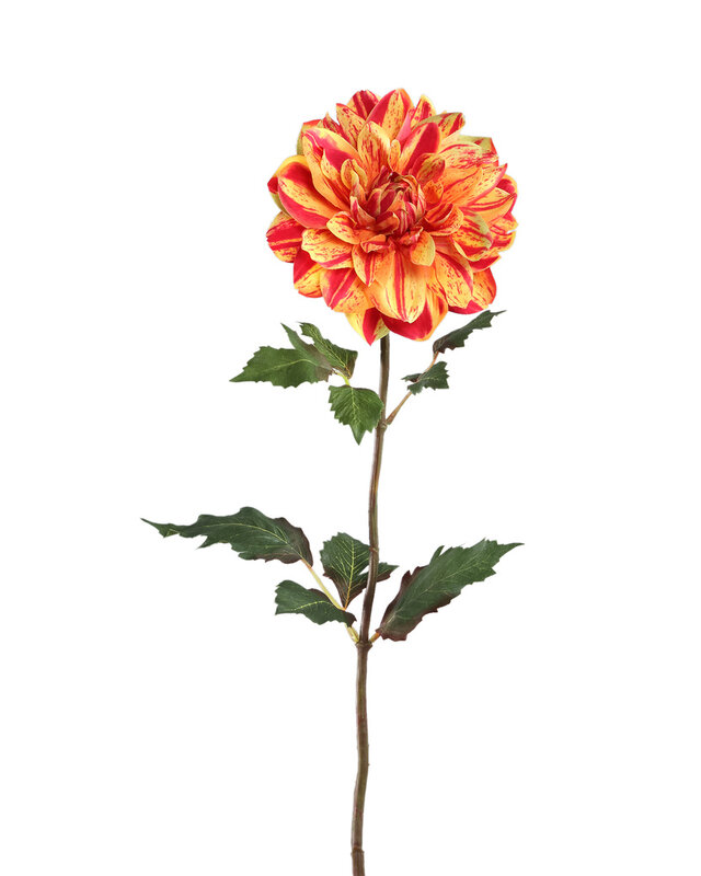 PTMD Gele dahlia bloem met bladeren.