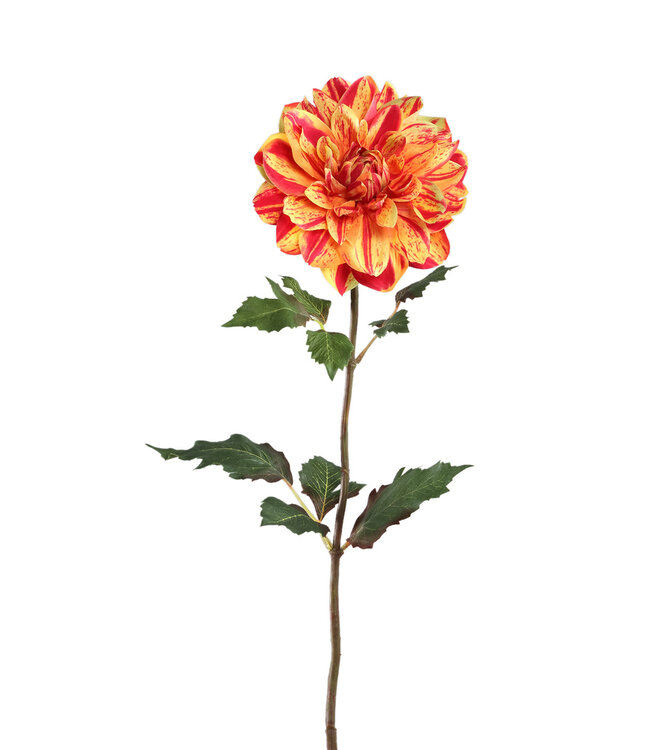 PTMD Gele dahlia bloem met bladeren.