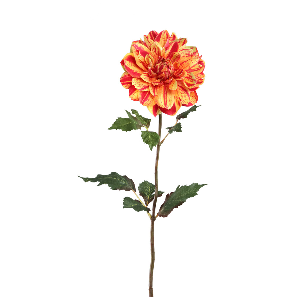 PTMD Gele dahlia bloem met bladeren.