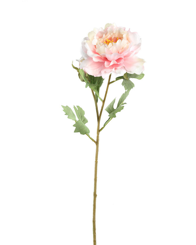 PTMD Pioenroos lichtroze met knop 23 x 12 x 58 cm
