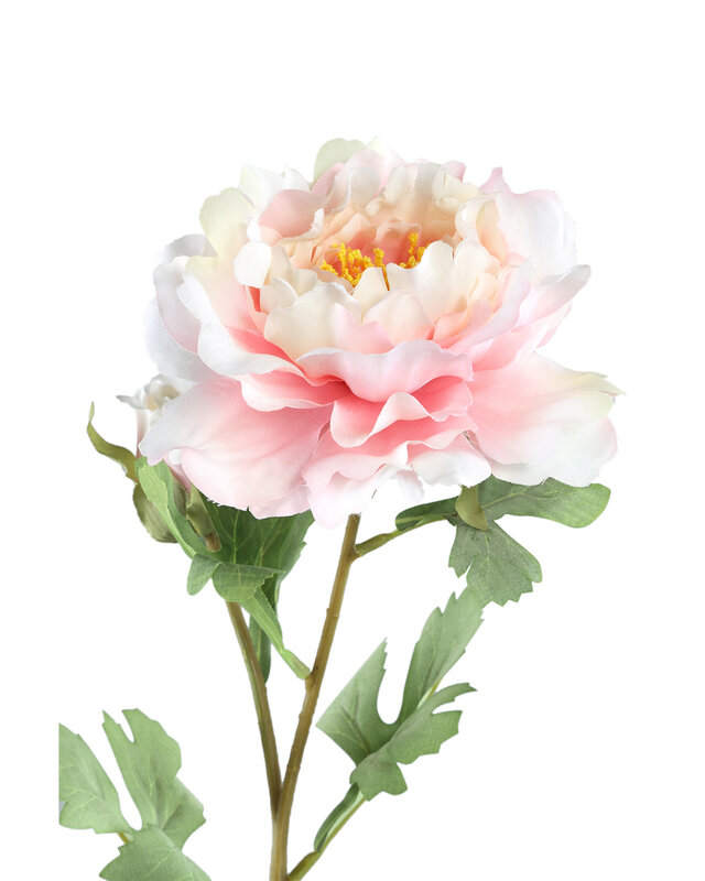 PTMD Pioenroos lichtroze met knop 23 x 12 x 58 cm