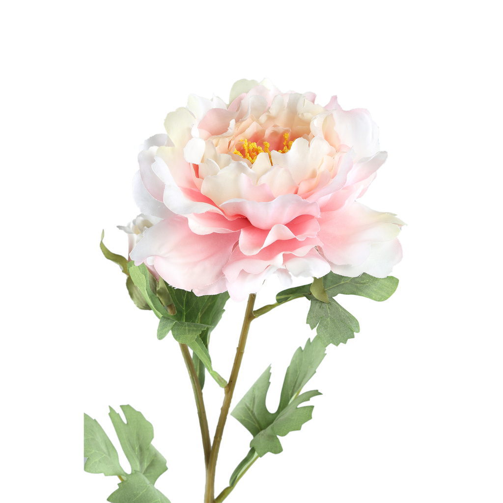 PTMD Pioenroos lichtroze met knop 23 x 12 x 58 cm
