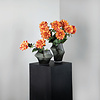 Gele dahlia bloem met bladeren.