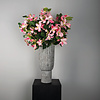 Tuinbloem roze bauhinia spray met bladeren