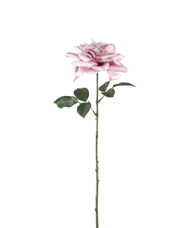 PTMD Rozenbloem lila rozenspray met bladeren.