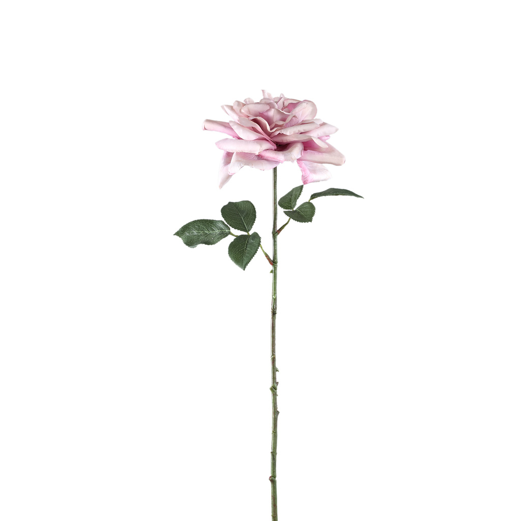 PTMD Rozenbloem lila rozenspray met bladeren.
