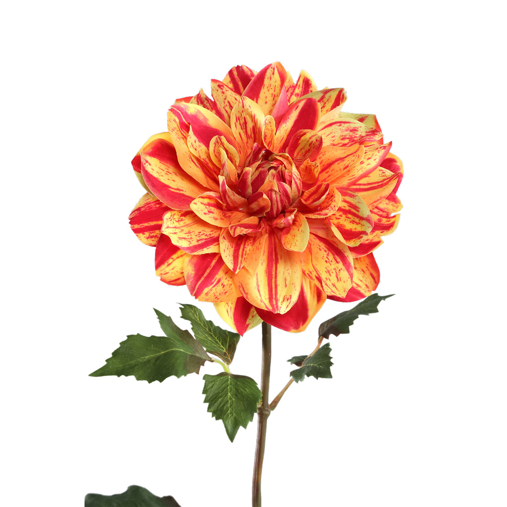 PTMD Gele dahlia bloem met bladeren.
