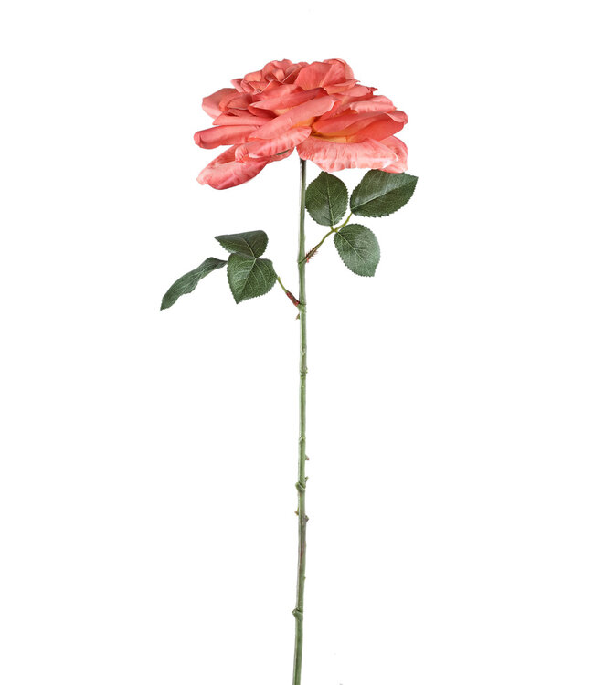 PTMD Oranje rozenbloem met bladeren spray