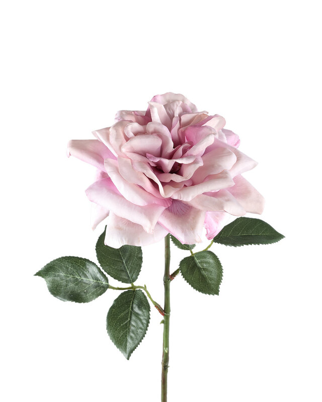PTMD Rozenbloem lila rozenspray met bladeren.