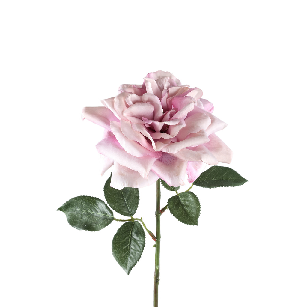 PTMD Rozenbloem lila rozenspray met bladeren.
