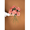 Oranje rozenbloem met bladeren spray
