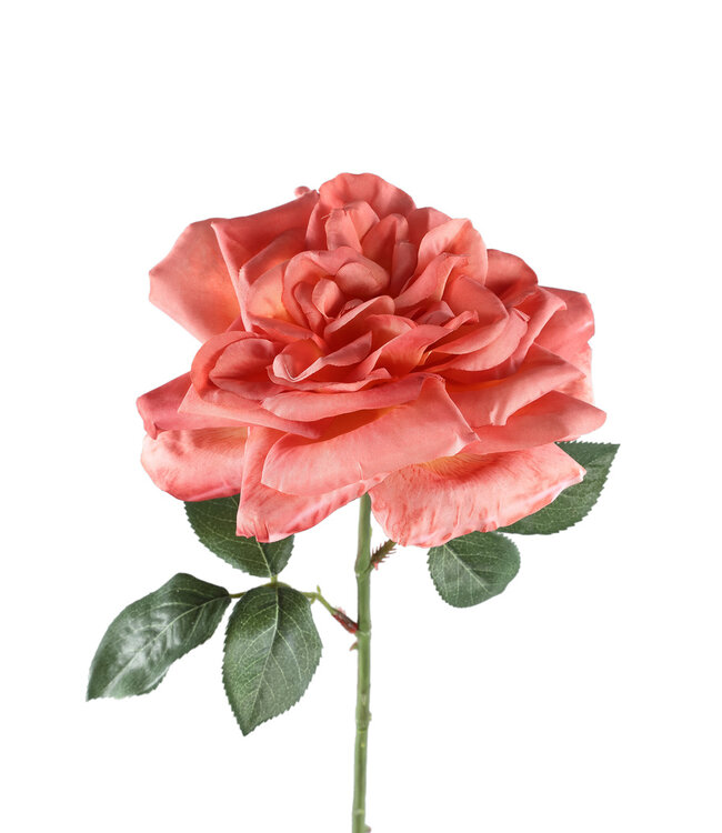 PTMD Oranje rozenbloem met bladeren spray