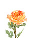 PTMD Pioenroos bloem oranje met knop.