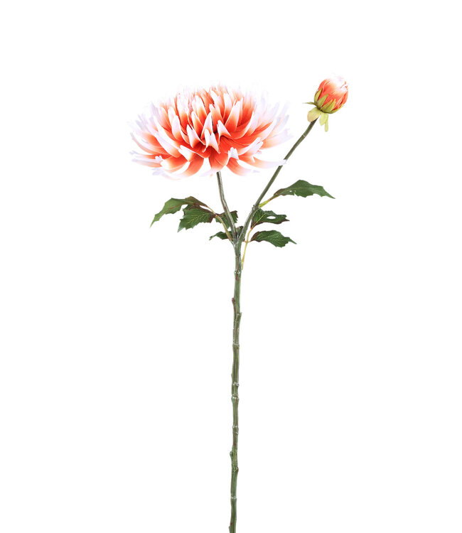 PTMD Dahlia bloem oranje witte dahlia steel met knop