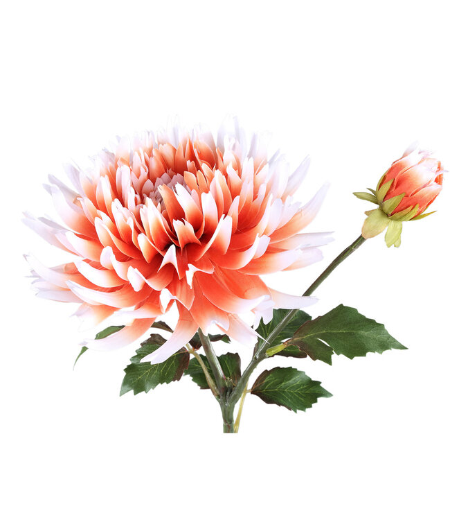 PTMD Dahlia bloem oranje witte dahlia steel met knop