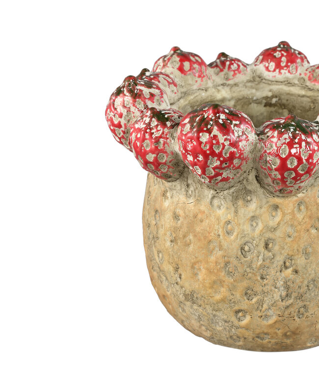 PTMD Fruitige rode ronde terrapot aardbeienrand L
