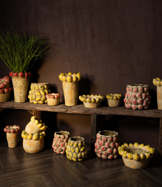 PTMD Fruitige rode ronde terrapot aardbeienrand L