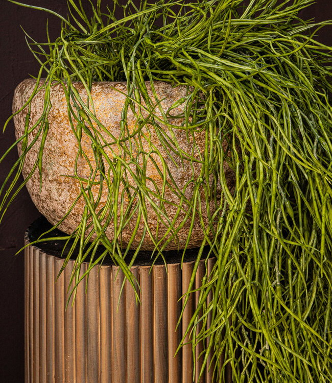 PTMD Skye-Leigh Taupe cement pot rond L