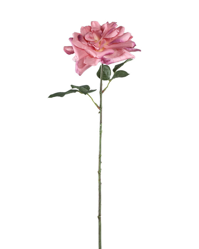 PTMD Rozenbloem met bladeren