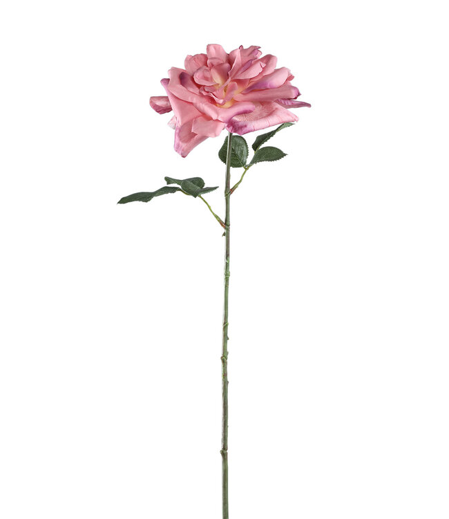 PTMD Rozenbloem met bladeren