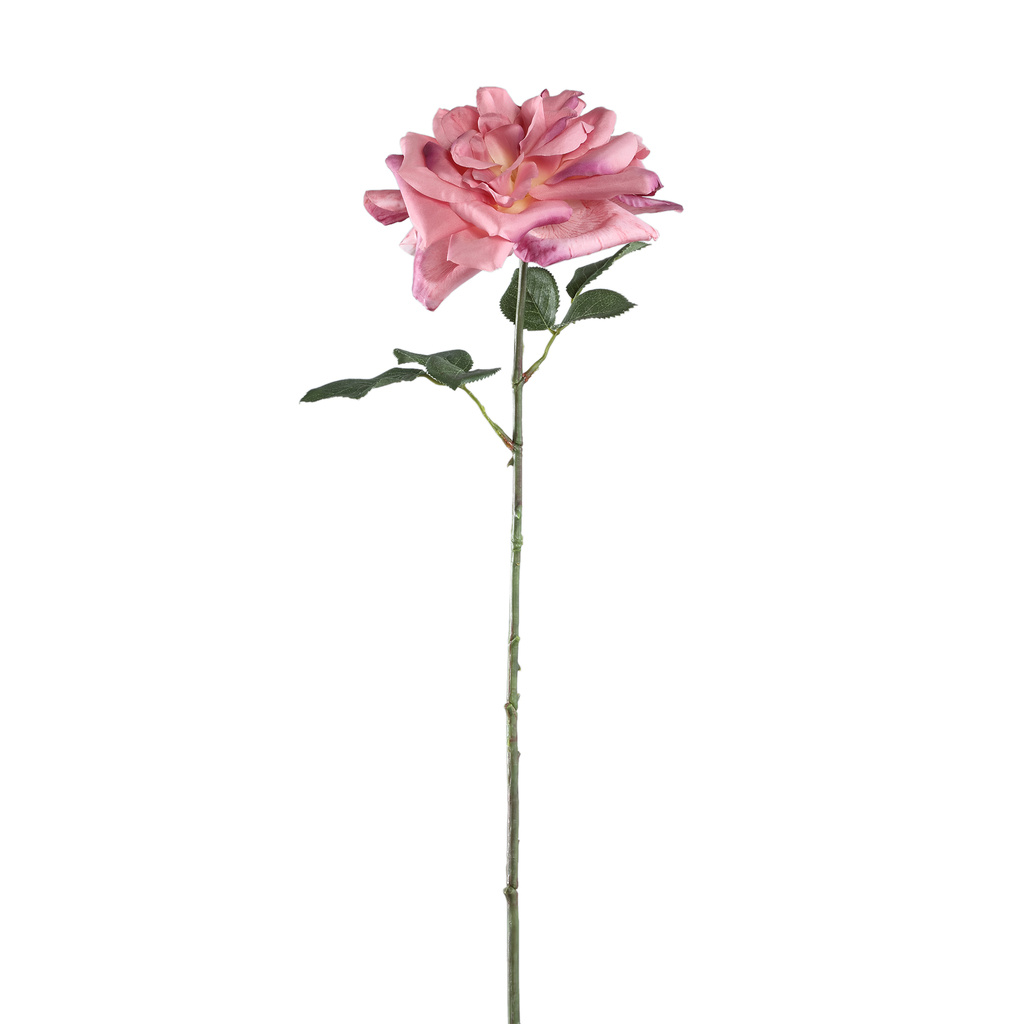 PTMD Rozenbloem met bladeren