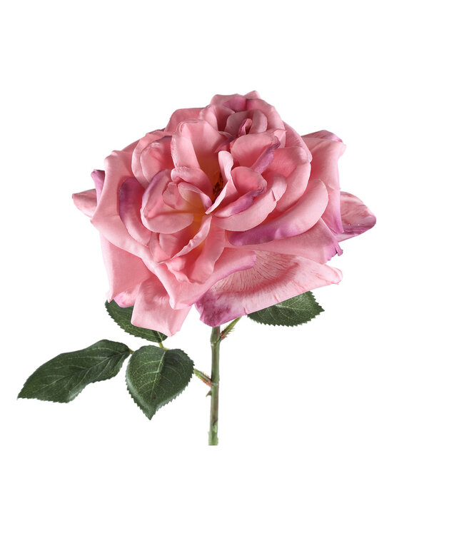 PTMD Rozenbloem met bladeren