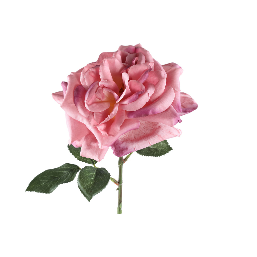 PTMD Rozenbloem met bladeren