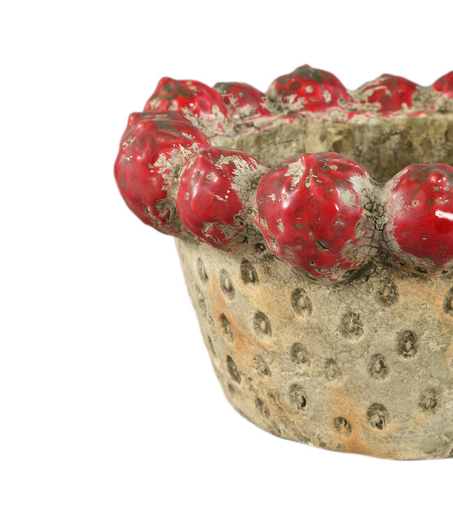 PTMD Fruitige rode ronde aardewerken kom met aardbeienrand.