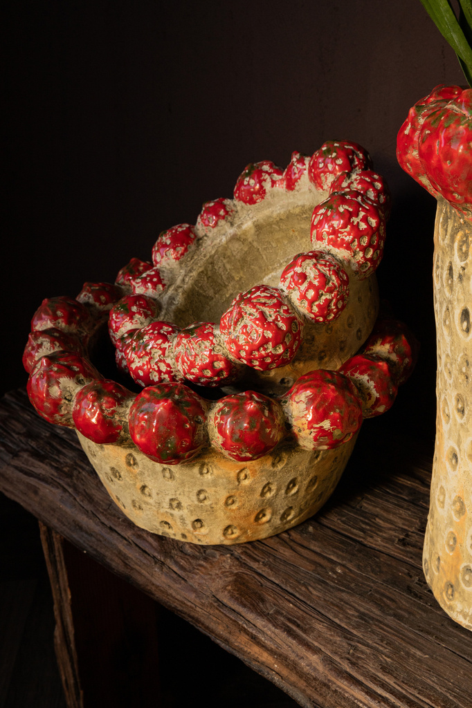 PTMD Fruitige rode ronde aardewerken kom met aardbeienrand.