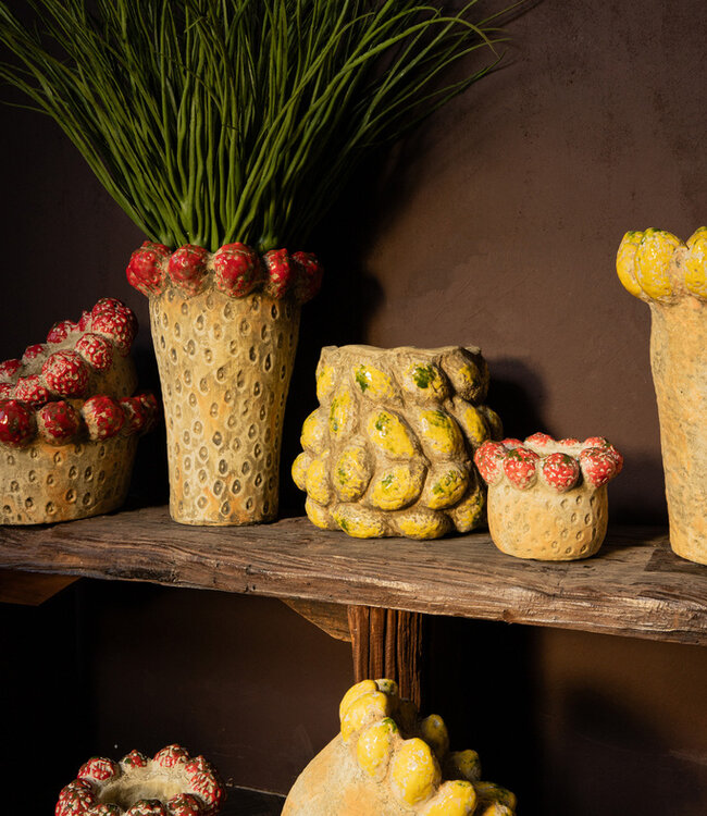 PTMD Fruitige rode ronde aardewerken kom met aardbeienrand.