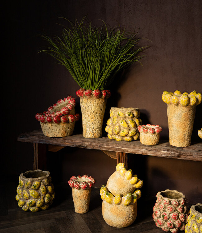 PTMD Fruitige rode ronde aardewerken kom met aardbeienrand.